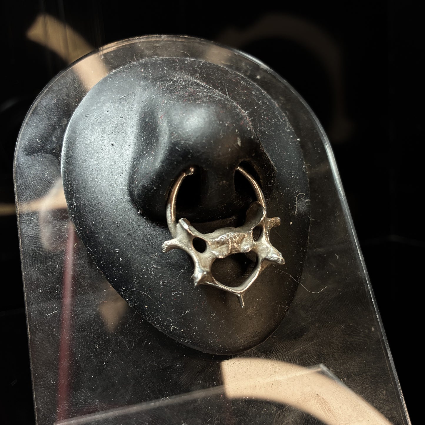 Nephthys - oversized vertebrae animal bone nose cuff, silver